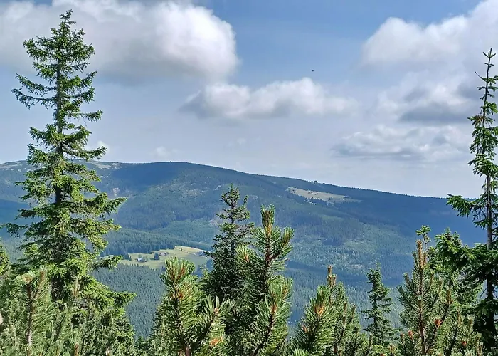 Hill 50 By Interhome Σπίτι διακοπών *